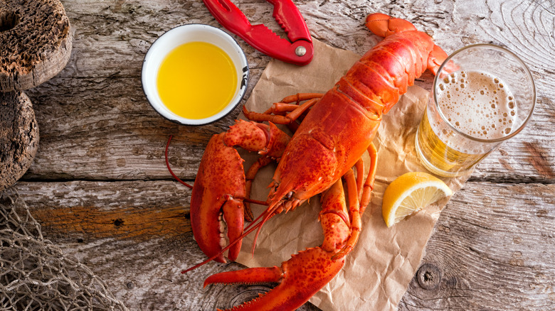 Whole lobster with glass of beer