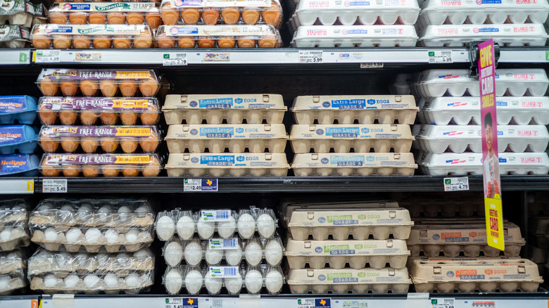 egg cartons on store shelf