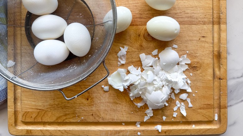 eggs and shells on board
