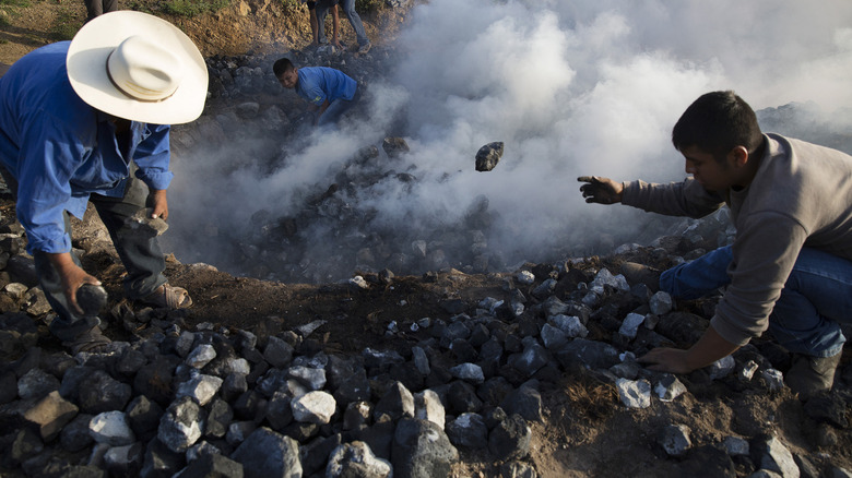 men filling pit to cook agave