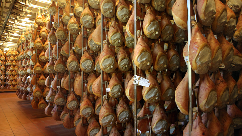 hundreds of legs of Prosciutto di Parma hanging to cure