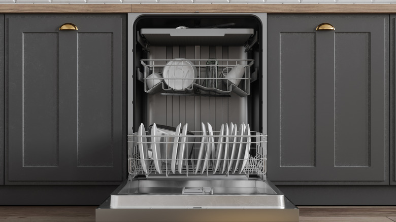 Front view of an open dishwasher