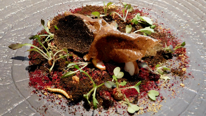 Forest Floor dish at The Fat Duck Restaurant