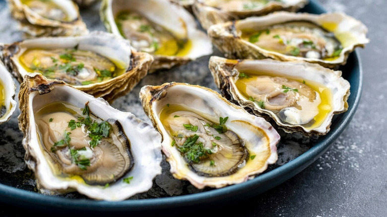 raw oysters on the half shell