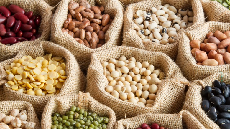 a variety of dried beans in cloth sacks