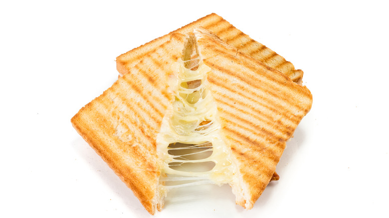Toasted grilled cheese on a white background