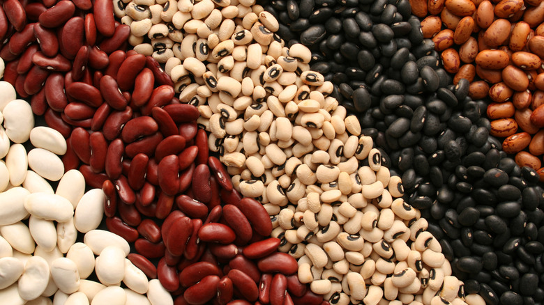 Various types of dried beans 
