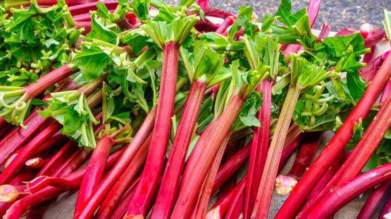 Pile of rhubarb