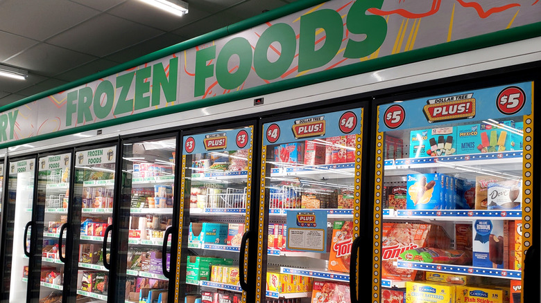 Dollar Tree frozen food section