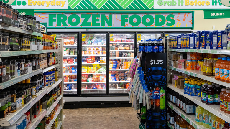 Large commercial freezer at the Dollar Tree, with a sign above it spelling "Frozen Foods" in bold green letters.
