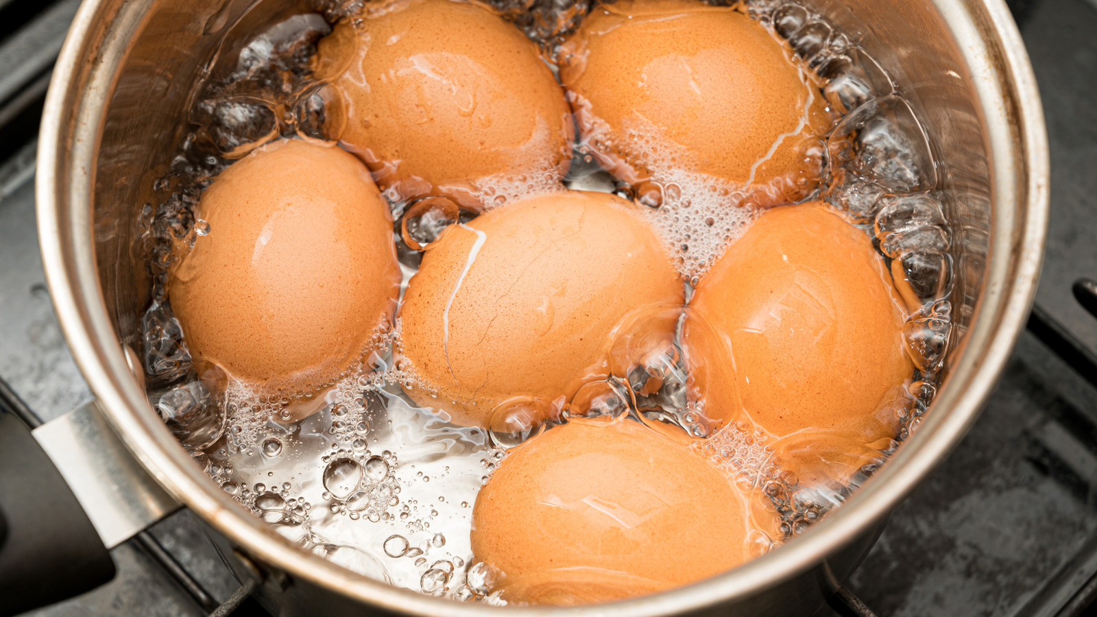 Don't Dump It - Here's How Boiled Egg Water Can Help Your Garden - Tasting Table