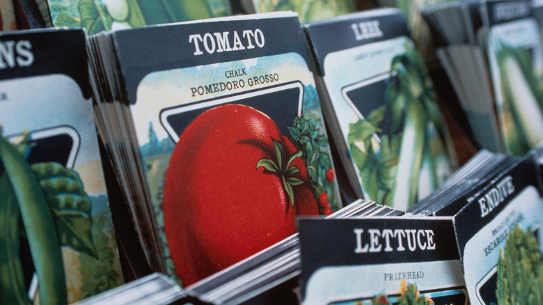 Seed packets on store display, including packet of tomato seeds