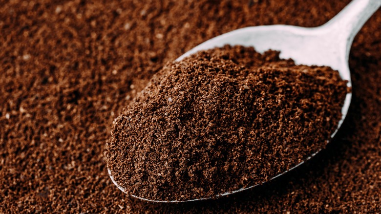 A spoonful of coffee grounds sitting in a bed of coffee grounds