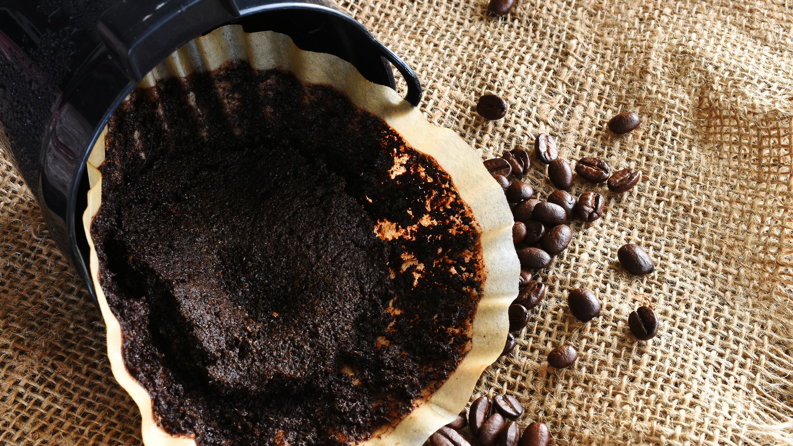 Don't Toss Out Used Coffee Grounds When You Could Use Them To Keep Cooking Odors At Bay - Tasting Table