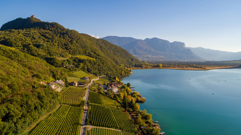 Mountain vineyards in the Dolomites in Italy