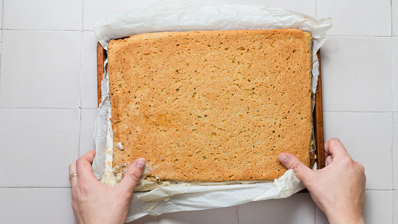 Frozen sheet of ice cream sandwiches