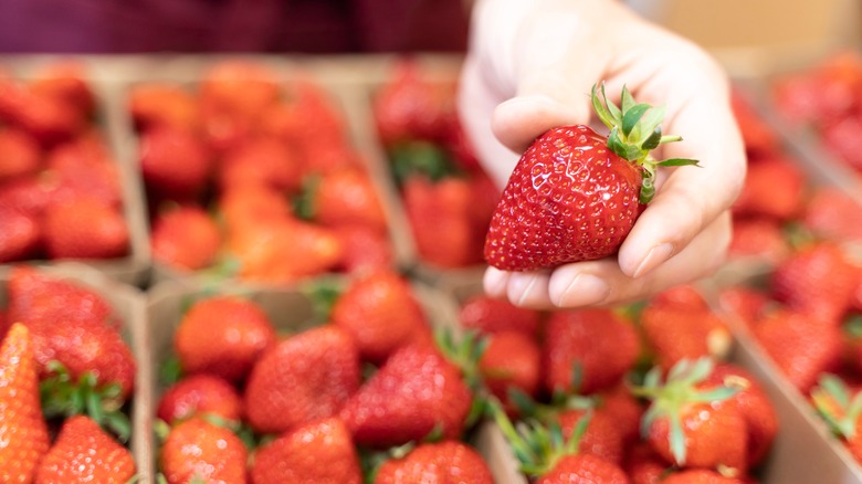 Strawberries and hand