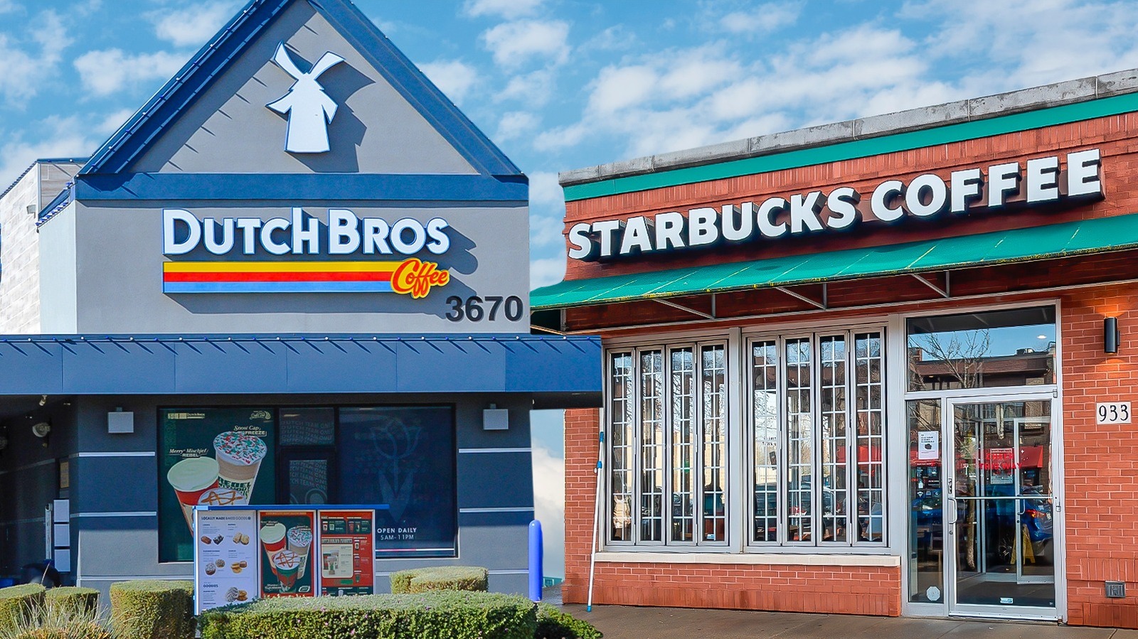 Dutch Bros Vs Starbucks: How Their Protein Coffees Stack Up
