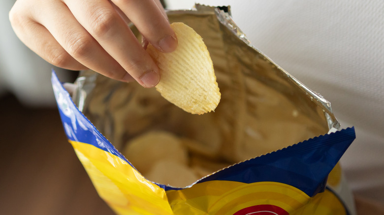 Hand holding potato chip