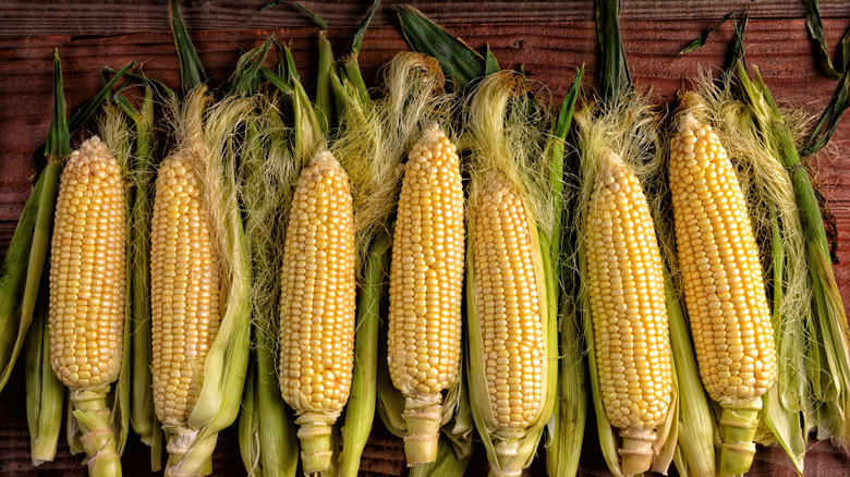 Fresh shucked corn on cobs