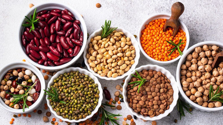 Bowls of different types of dried beans, chickpeas, lentils mung beans, kidney beans etc.