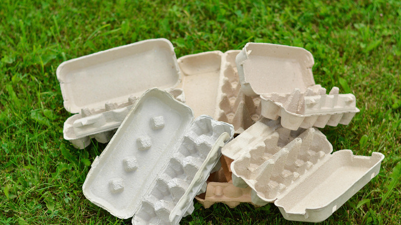 Pile of empty egg cartons
