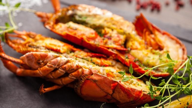 grilled lobster with flavored butter 
