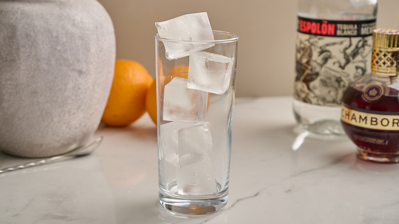 gladd on a table filled with ice