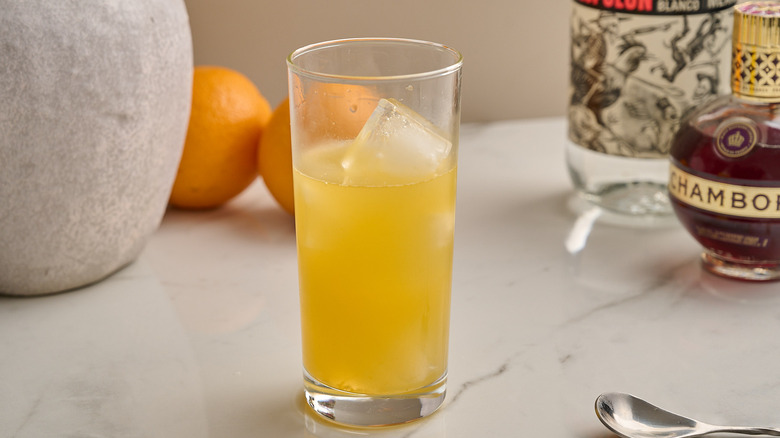 glass filled with ice and orange juice
