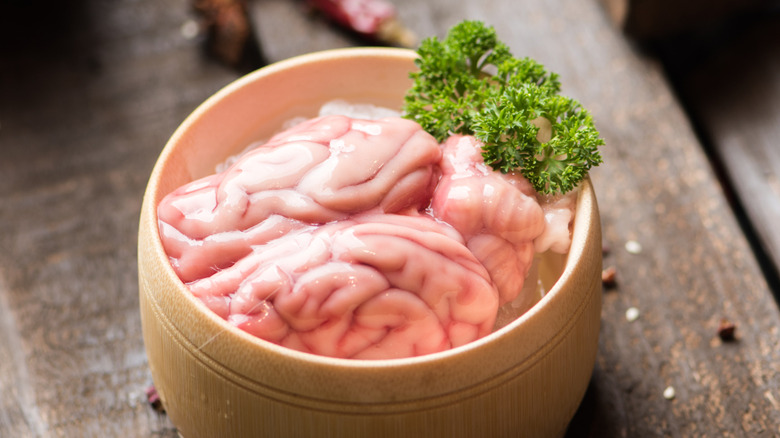 raw pork brain in ceramic dish