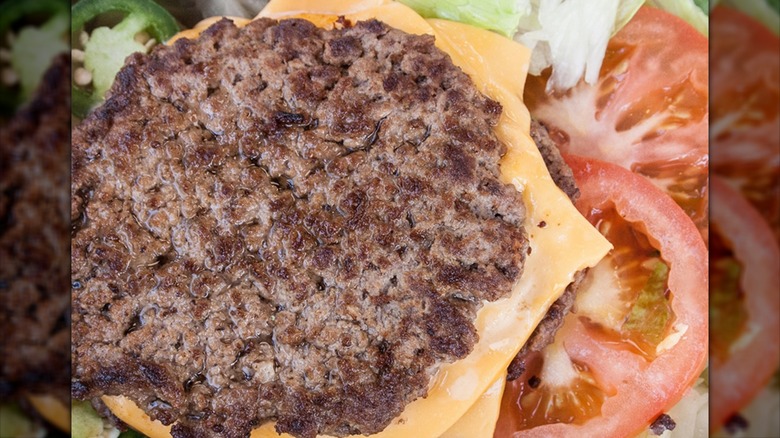 close up of the Five Guys  burger bowl