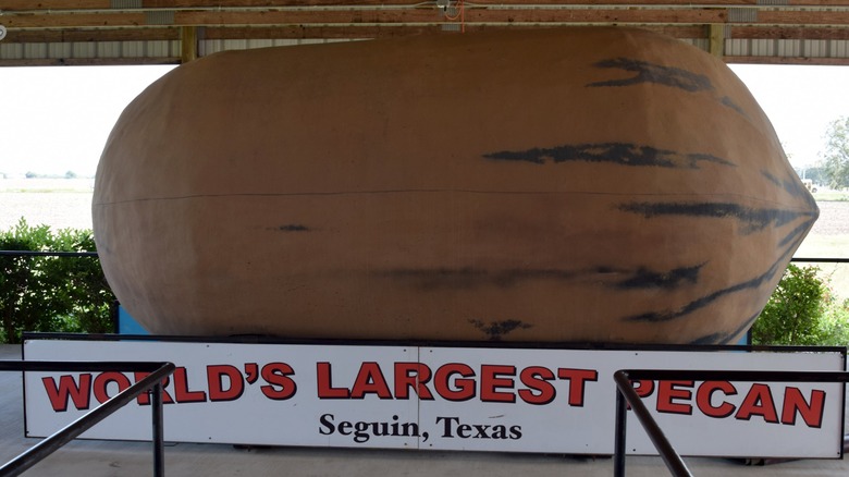 The world's largest pecan over a sign that says the same in Seguin, Texas