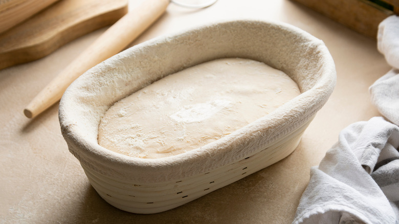 Bread dough in proofing basket