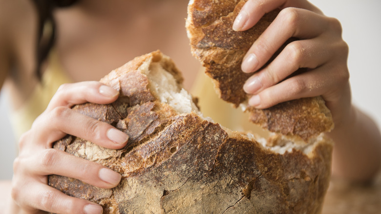 female hands tearing a large chunk from a round "boule" of artisan bread, with an appealing and deeply browned crust