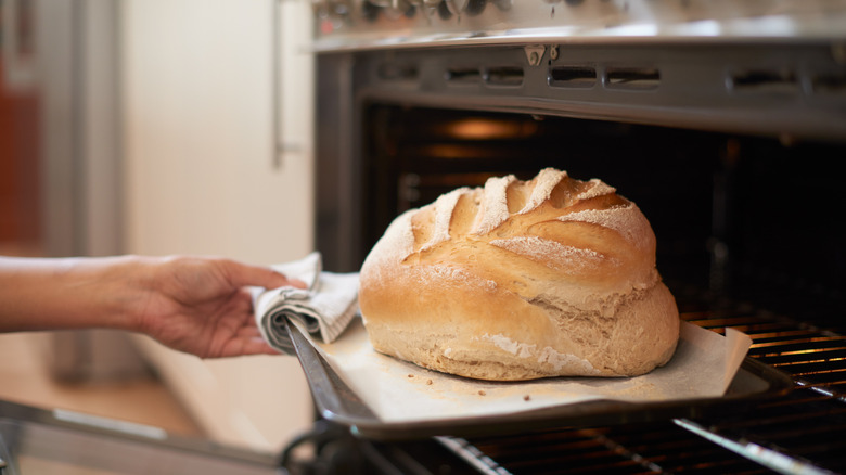 hand removing a tall, fluffy round loaf of bread from the oven, its top scored deeply in a chevron pattern and nicely browned