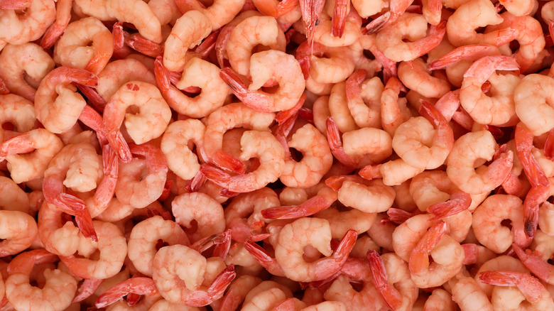 A pile of raw shrimp 