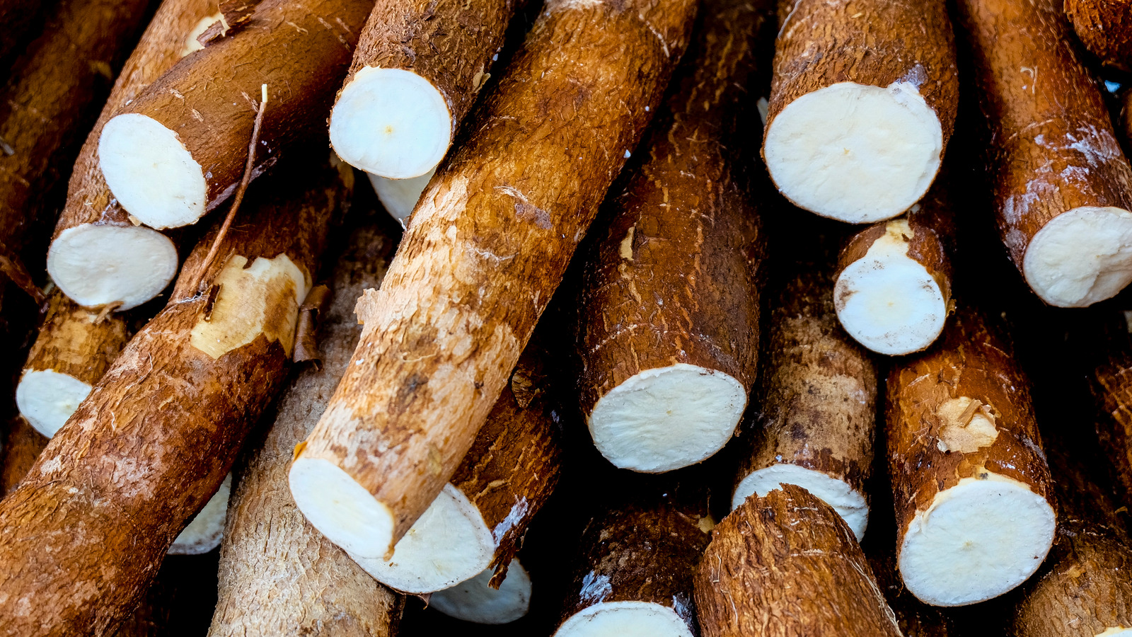 Everything You Need To Know About Yuca