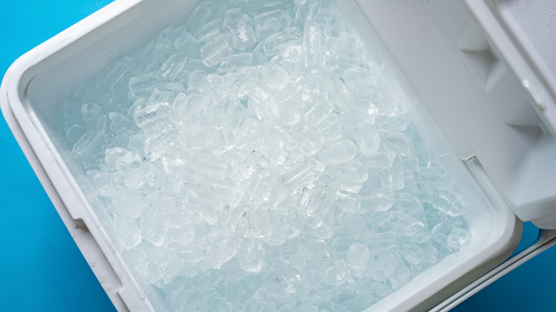 Cooler full of ice
