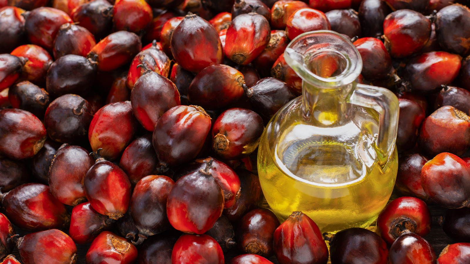 What An Expert Wants You To Know About Palm Oil