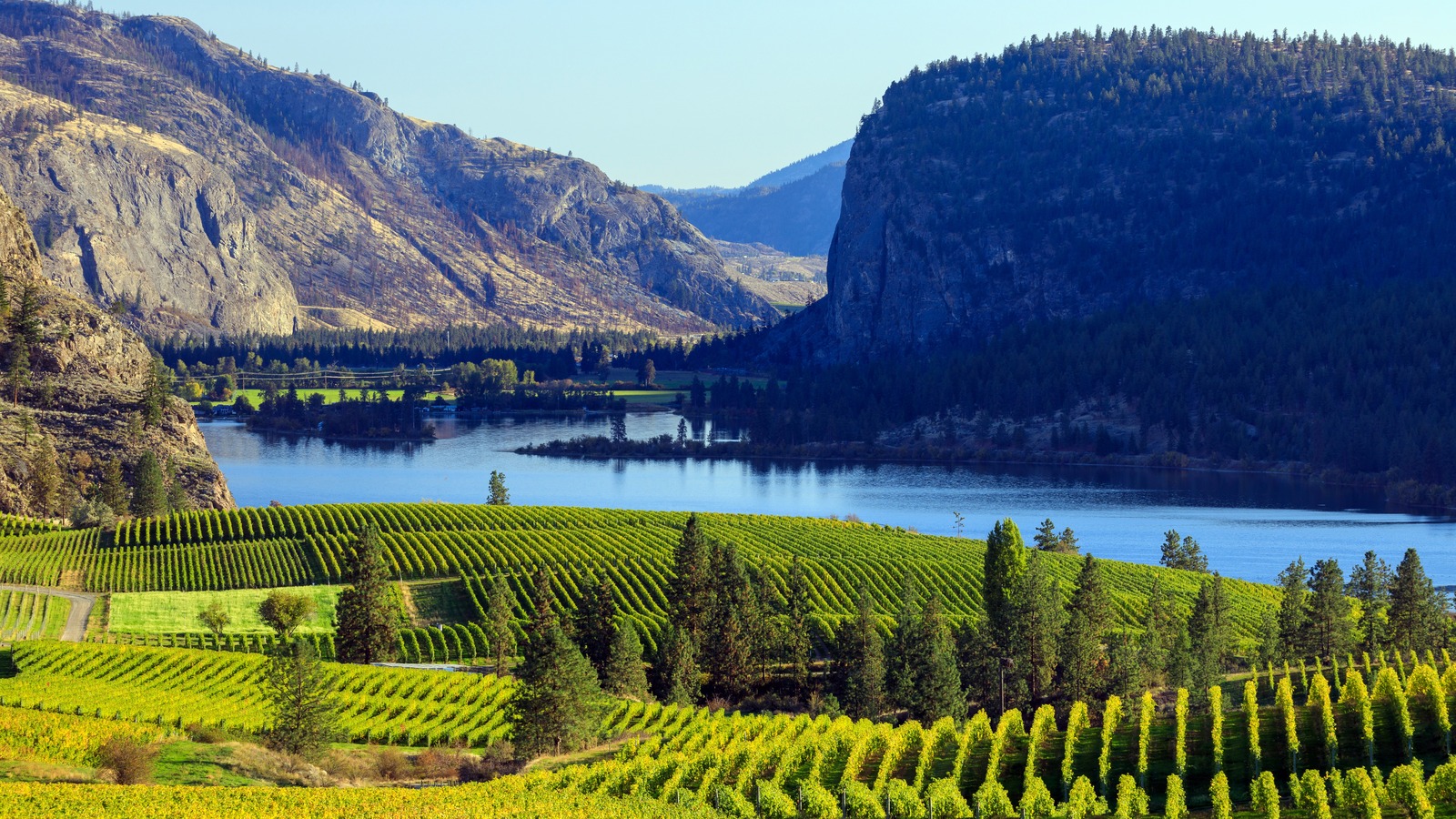 okanagan wine tours and accommodations