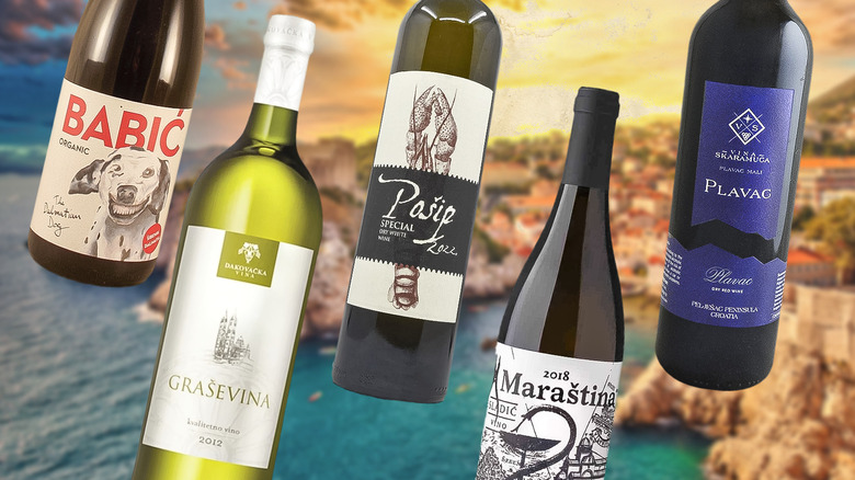 lineup of Croatian wines