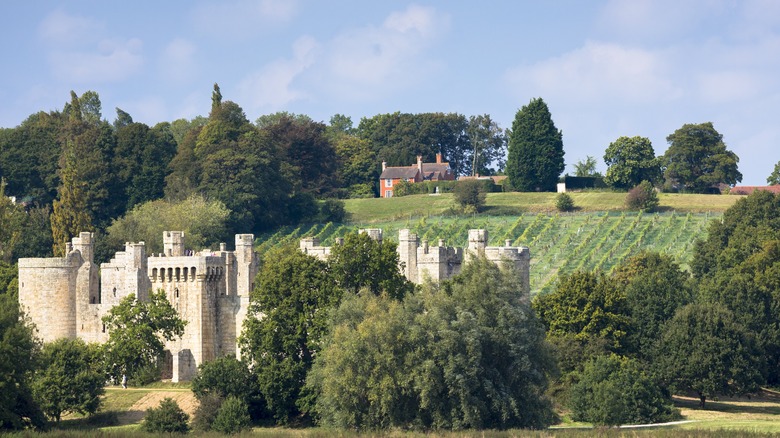Bodium Castle and vineyards in Sussex