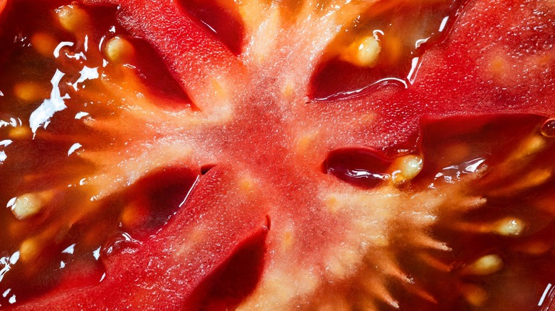 Closeup of tomato seed cavities