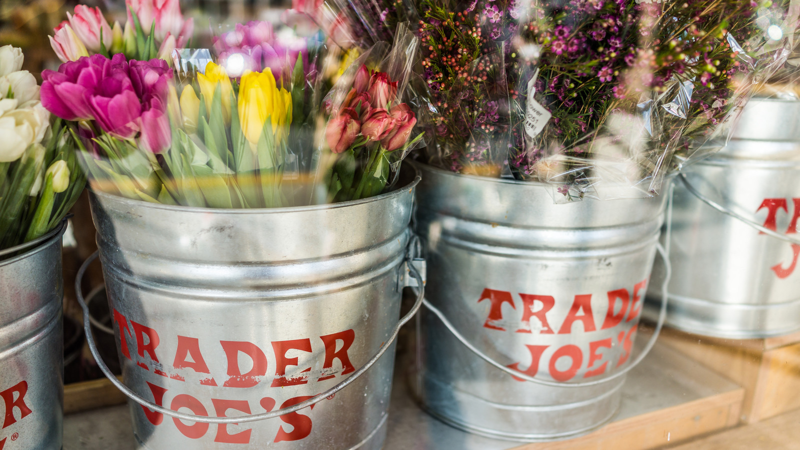 Fan-Favorite Trader Joe's Summer Snacks Under $5