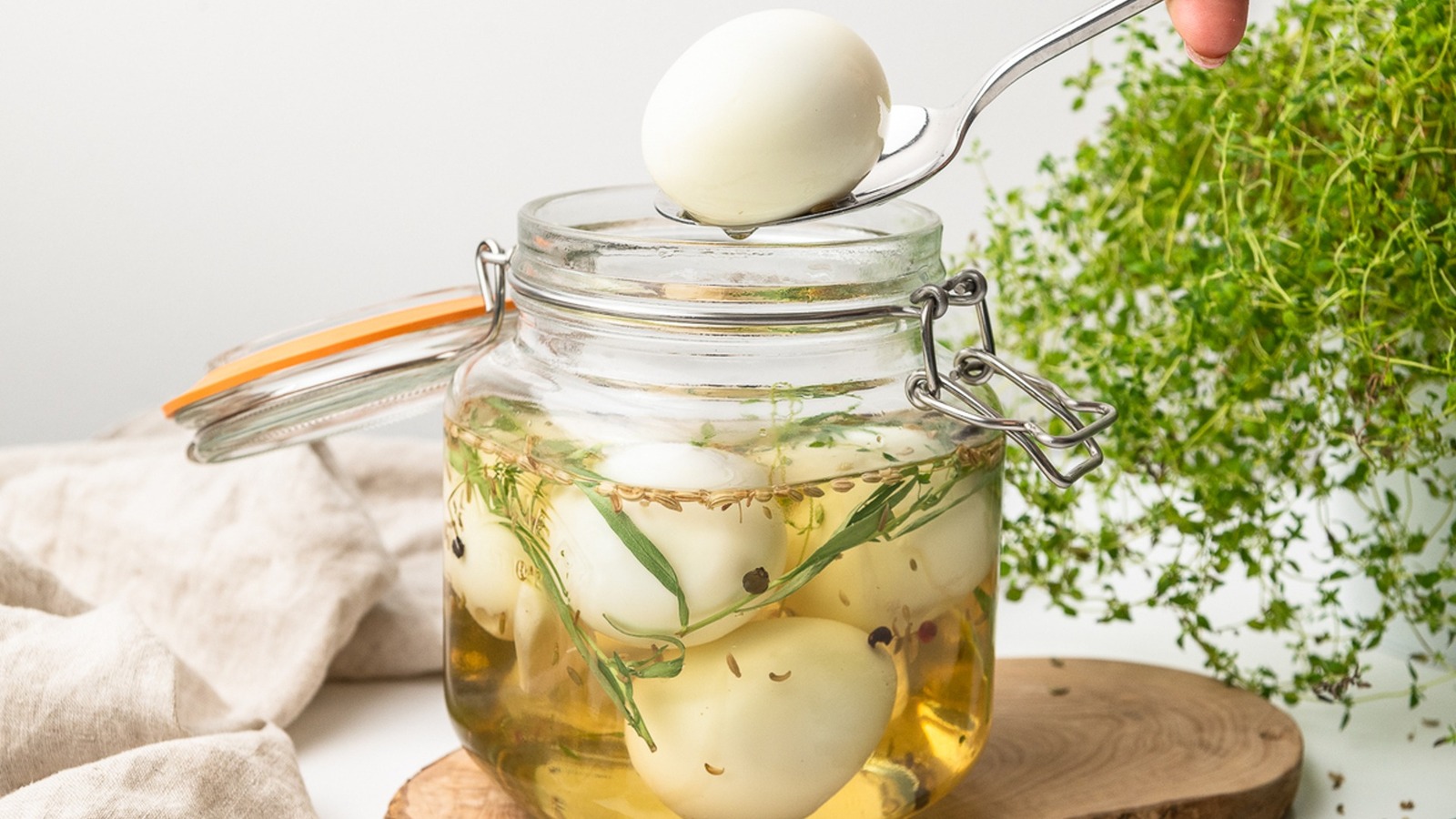 Fennel Seeds Are The Key To Give Pickled Eggs A Robust Burst Of Flavor