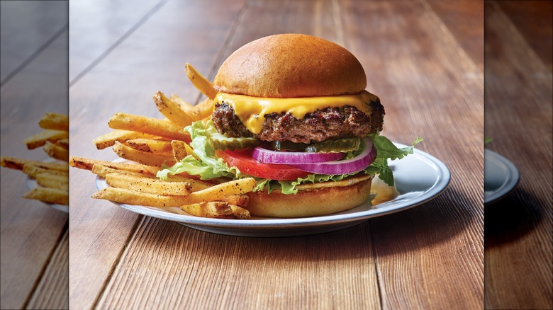 Applebee's cheeseburger and fries on a white plate