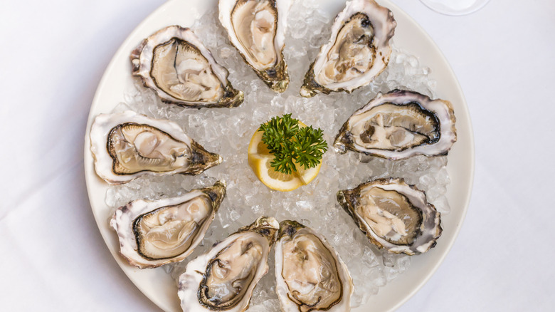 Plate of oysters on ice with lemon and herbs