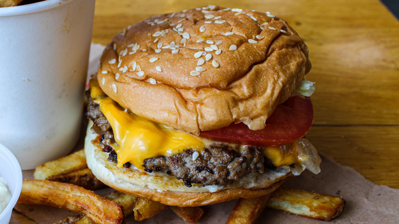 Five Guys cheeseburger with fries