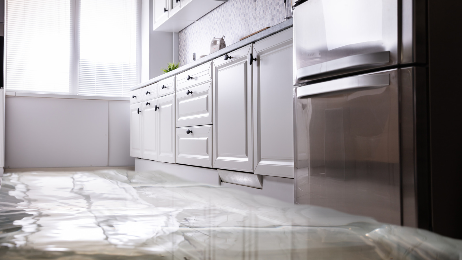 Quick Tips To Fix A Leaky Dishwasher Without Calling A Pro - Tasting Table