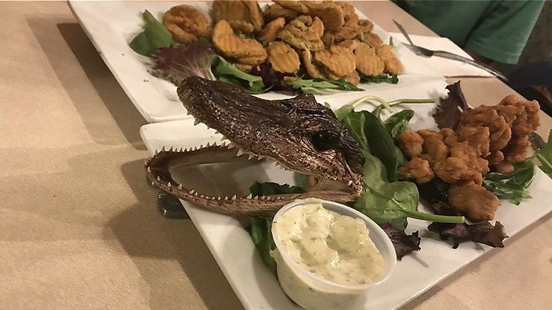 Fried pickles and gator bites on platter with gator head at Red Wing Restaurant